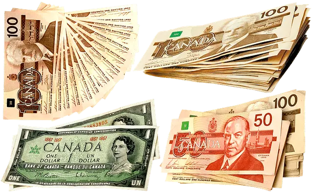 الدولار الكندى
